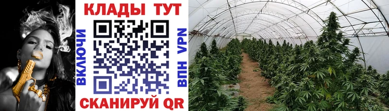 Что такое Муром Канабис Alpha-PVP МЕФ
