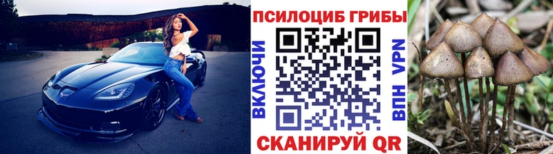Галлюциногенные грибы мухоморы  OMG как зайти  Муром 