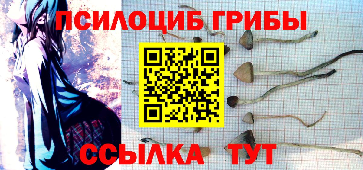Галлюциногенные грибы мухоморы Муром