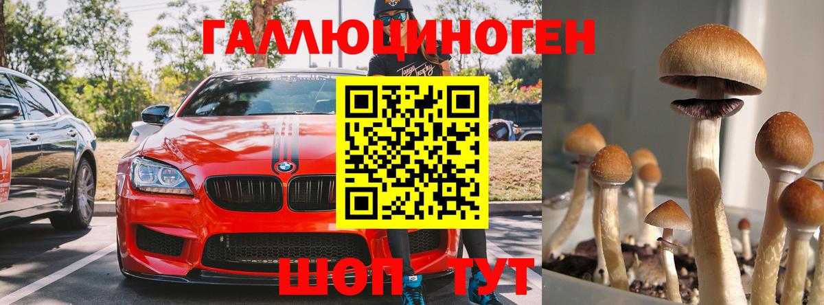 Галлюциногенные грибы мухоморы  Вход с VPN  Муром 