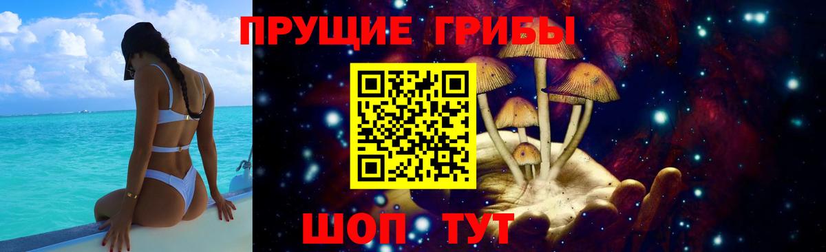 Псилоцибиновые грибы Psilocybine cubensis  Муром  Псилоцибиновые грибы Psilocybine cubensis 