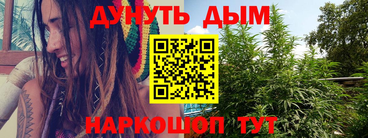 Бошки Шишки индика Муром